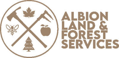 Albion Land and Forest Services